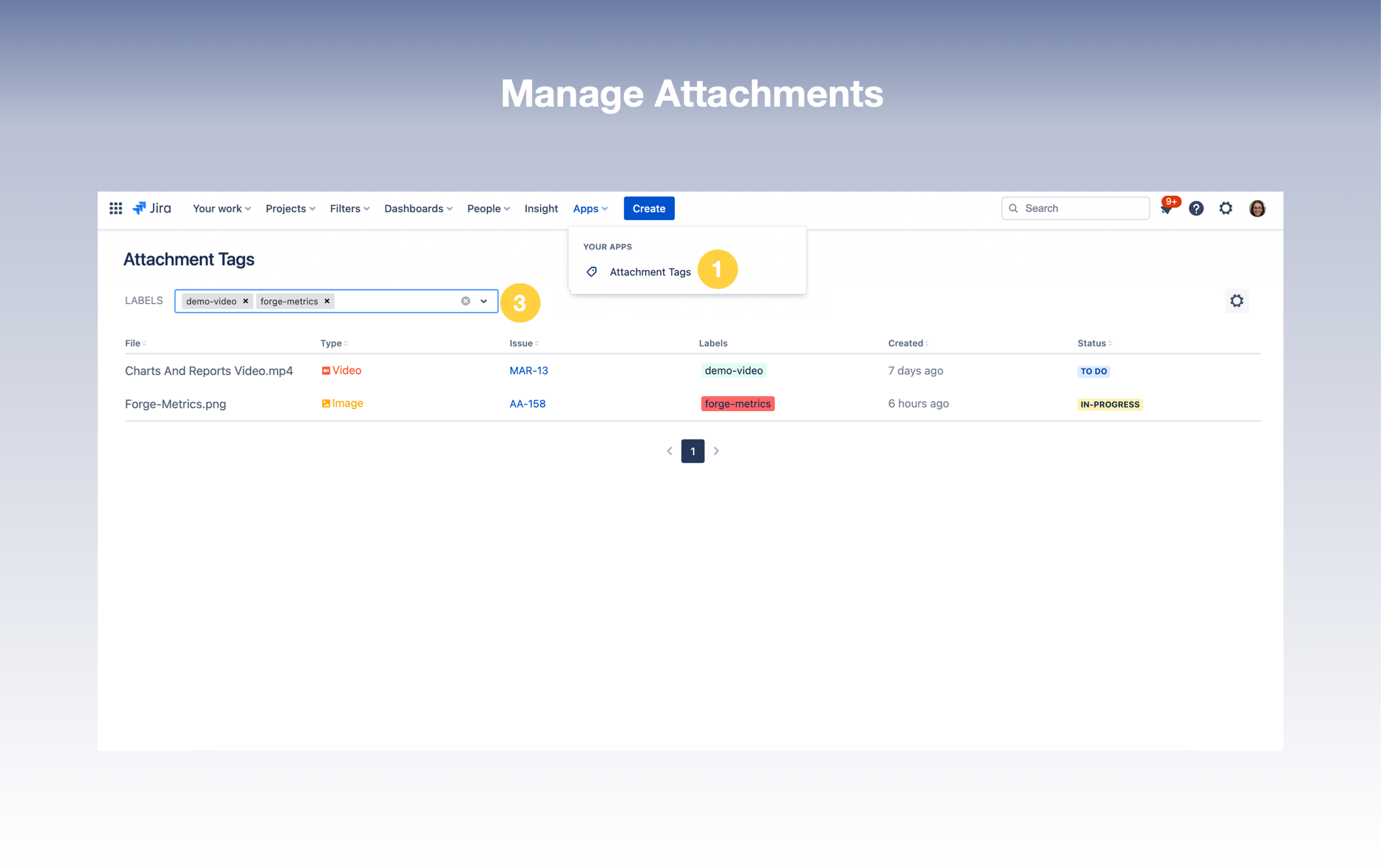 Manage Attachments.png