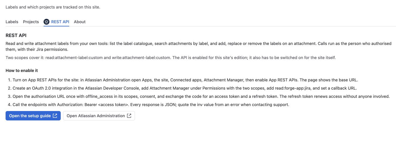 rest-api-setup.png